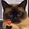 princessam_10591