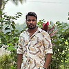 shiyab_52149