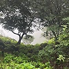vidhi_30441