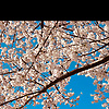 mounthills_64770