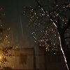 melisa_15578