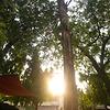 hamza_13425