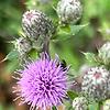 john_90321