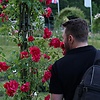 Anton_DE