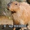 ramaaa_56147