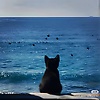 tong_51470