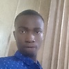Adegoke2004