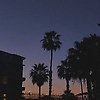 rowan_73462