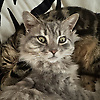 user_93661