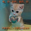 liaosidewe_90723
