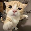 user_60253