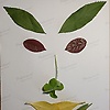 bruce_50512
