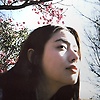 amber_24172