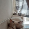 juli_45838