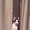 aisun_24507