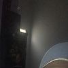 rayanerl_16310