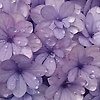 bettina_0816