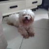 AtexKing