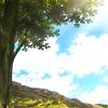 christophe_74700