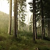 akash_44493