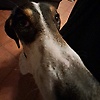lise_57920