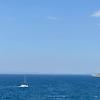 aydn_3533