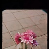 jana_67064