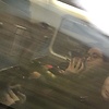 amanda_2720