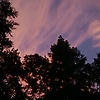 serene_10729
