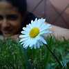 SweetDreamerx