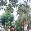 lina_29524