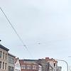 fedreek_45145