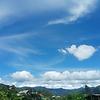 rosy_26395