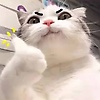 user_486911