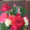 legenda_16288