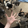 elle_53628