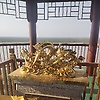 user_855988