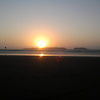 honey_peace