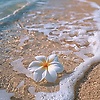 daniele_56202