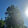 deniz_84050