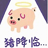 user_88231