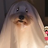 joel_96084