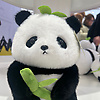 gloria_29230