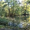 jakub_15499