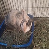 zach_56676