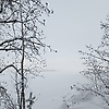 sakari_54490