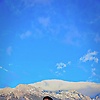 shuo_49517