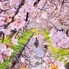 Dae-sung123