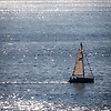 alin_22336