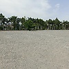 saad_21048